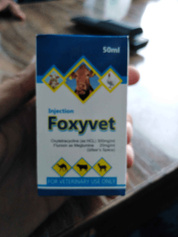 Foxyvet Injection